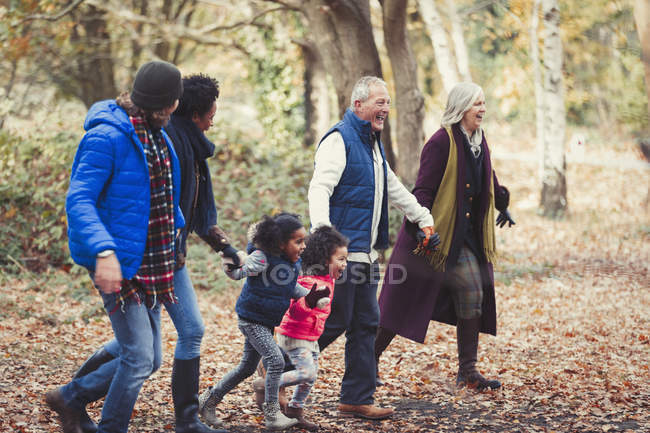 Famille multi-génération se tenant la main marchant dans le parc d'automne — Photo de stock