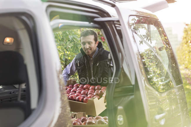 Hombre agricultor cargando manzanas rojas en coche en huerto - foto de stock