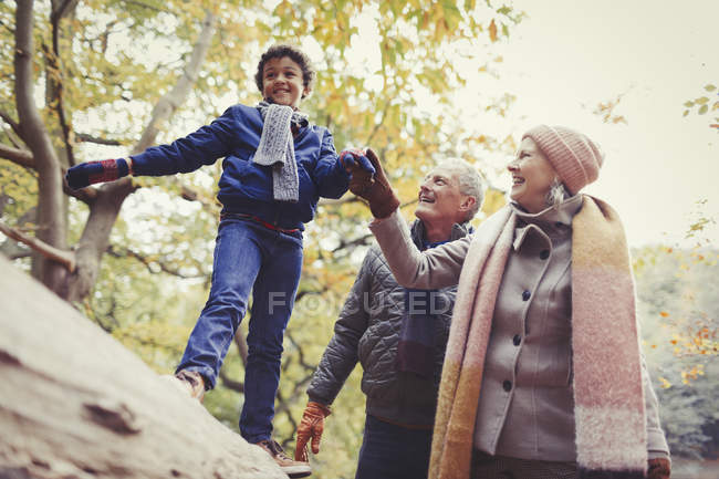Abuelos caminando nieto en el registro en el parque de otoño - foto de stock