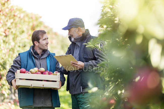 Agriculteurs masculins avec boisseau de pommes et presse-papiers parlant dans le verger — Photo de stock