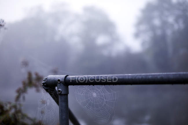 Spinnennetze hängen an nassem Geländer — Stockfoto