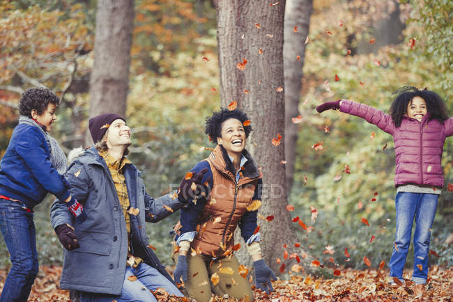 Juguetona familia joven lanzando hojas de otoño en el bosque - foto de stock
