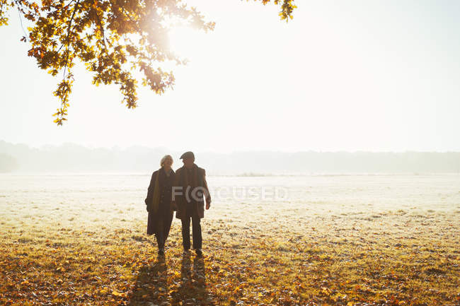 Silhueta casal sênior de mãos dadas andando no ensolarado parque de outono — Fotografia de Stock