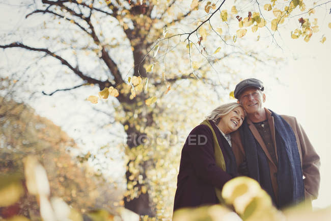 Cariñosa pareja de ancianos abrazándose en el soleado parque de otoño - foto de stock