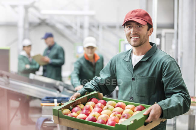 Retrato sonriente trabajador sosteniendo caja de manzanas en planta de procesamiento de alimentos - foto de stock