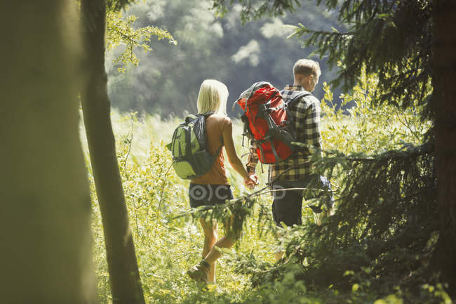 Couple avec sacs à dos tenant la main randonnée dans les bois ensoleillés — Photo de stock