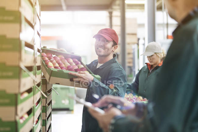 Усміхнений чоловік-працівник несе коробку з яблуками на заводі з переробки продуктів харчування — стокове фото