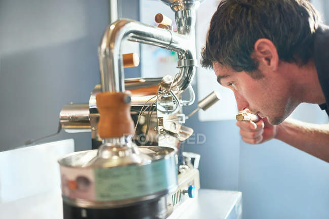 Torrador de café masculino cheirando, testando café — Fotografia de Stock