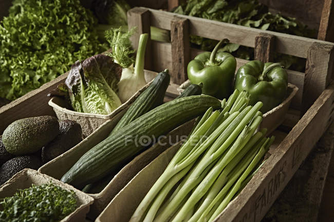 Natureza morta fresco, orgânico, saudável, variedade de colheita de vegetais verdes em caixa de madeira — Fotografia de Stock
