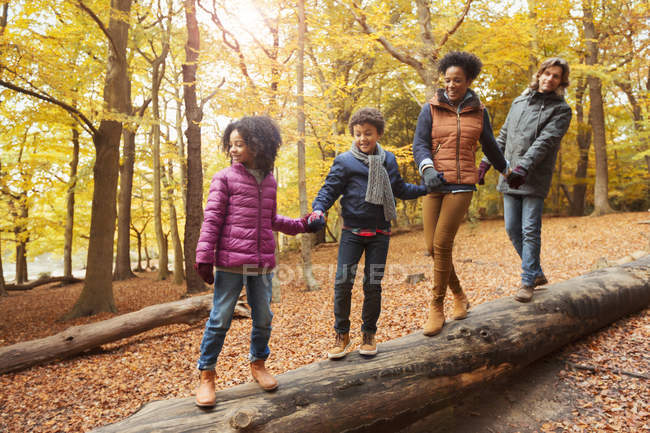 Joven familia cogida de la mano caminando sobre troncos en bosques otoñales - foto de stock