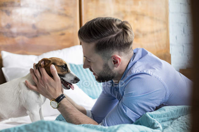 Homem de estimação Jack Russell Terrier na cama — Fotografia de Stock