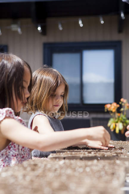 Meninas plantando mudas no pátio ensolarado — Fotografia de Stock