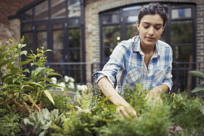 Giovane donna giardinaggio, controllare le piante sul patio — Foto stock