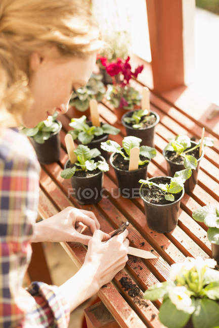 Woman writing on stick labels potting plants in greenhouse — Stock Photo