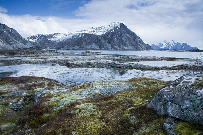 Moosbewachsene Felsen zwischen abgelegenen Fjorden und Bergen, Langraget, Lofoten, Norwegen — Stockfoto