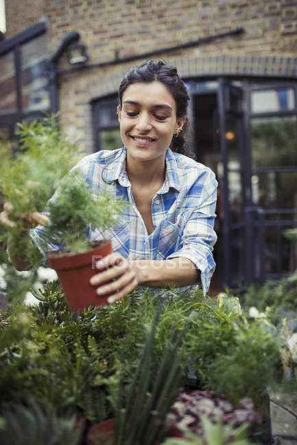 Mujer joven jardinería, la celebración de la planta en maceta en el patio - foto de stock