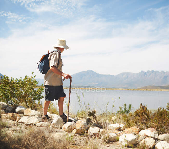Caminhante masculino com mochila e bengala ao lado do lago ensolarado de verão — Fotografia de Stock