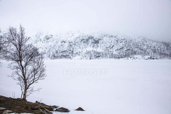 Tranquilo, paisagem coberta de neve, Kanstad, Hinnoya, Noruega — Fotografia de Stock