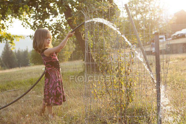 Ragazza in abito da irrigazione albero con tubo in soleggiato, cortile estivo — Foto stock