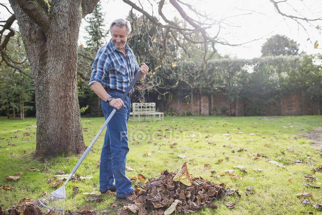 Portrait of confident mature caucasian man working with rake in garden — Stock Photo