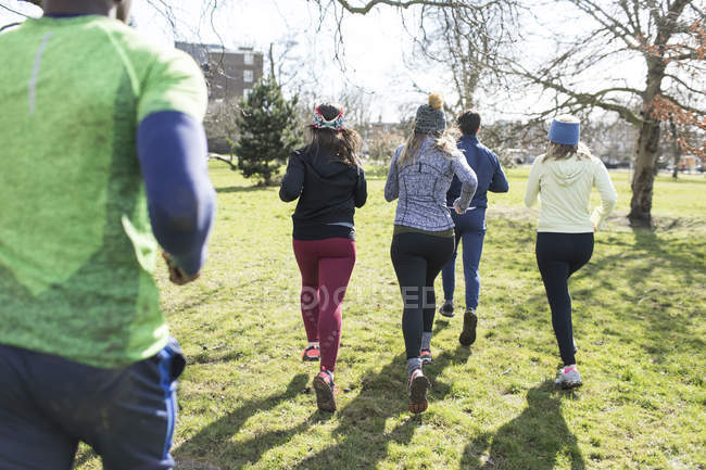 Rear view of runners running in sunny park — Stock Photo