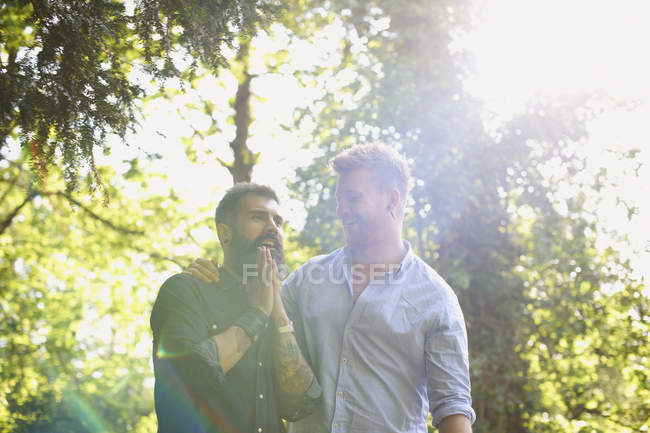 Affectionate male gay couple in sunny park — Stock Photo