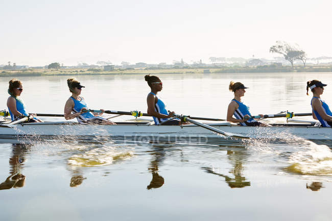 Equipe de remo feminino remo scull no lago ensolarado — Fotografia de Stock