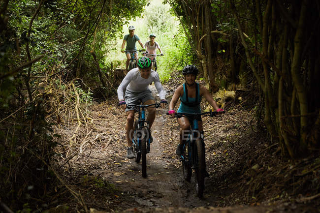 Amigos ciclismo de montaña en el sendero en el bosque - foto de stock