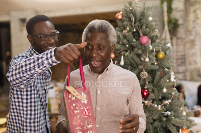Nieto sorprendente abuelo con regalo de Navidad - foto de stock