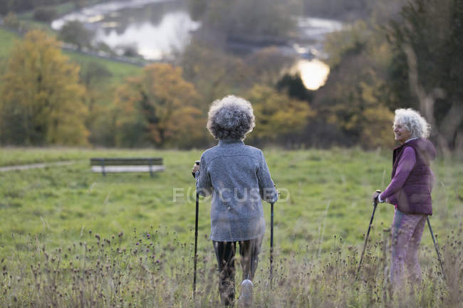 Femmes âgées actives amis randonnée pédestre avec des bâtons dans le domaine rural — Photo de stock