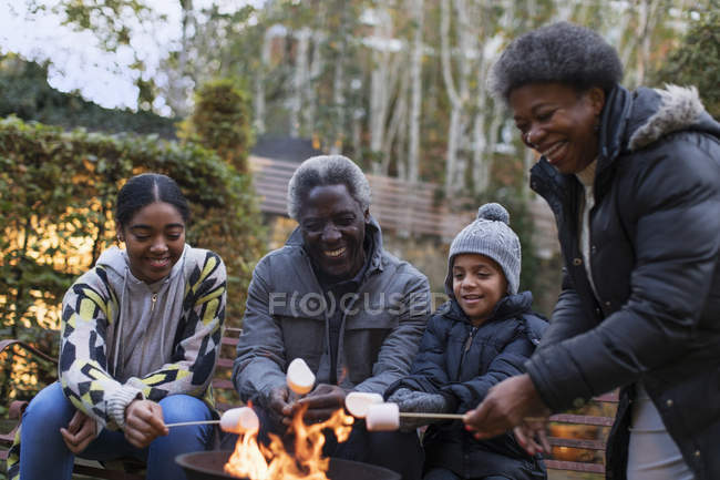 Grandparents and grandchildren roasting marshmallows over campfire — Stock Photo