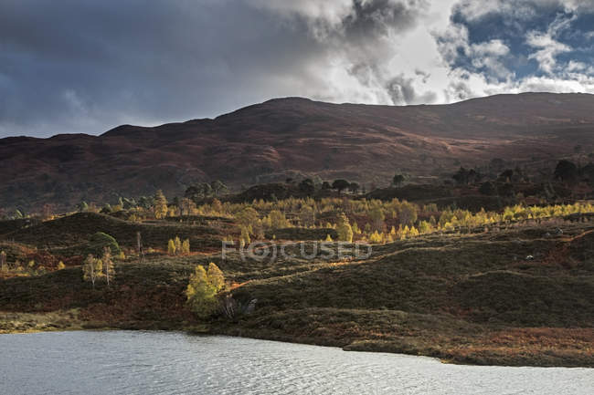 Tranquillo paesaggio autunnale, Glen Cannich, Scozia — Foto stock