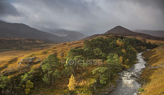 Tranquil glen lands and river, Glen Strathfarrar, Шотландия — стоковое фото