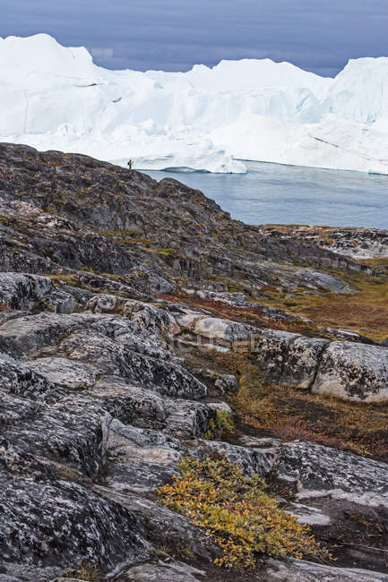 Icebergs beyond craggy rocks, Icefjord, Ilulissat, Greenland, — Stock Photo