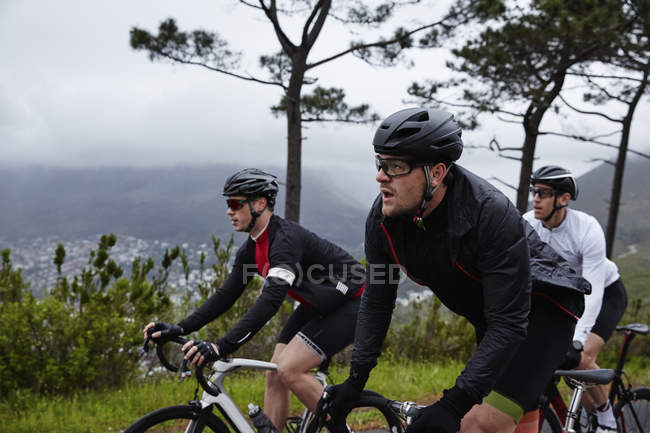 Велогонщики мужского пола на велосипеде по дороге, вид сбоку — стоковое фото