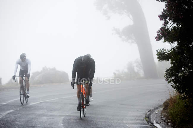 Ciclistas masculinos dedicados ciclismo en carretera lluviosa - foto de stock