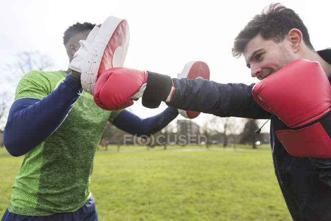 Closeup view of men boxing in green park — Stock Photo