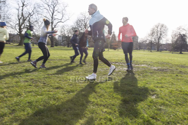 Gruppe von Menschen läuft, trainiert im sonnigen Park — Stockfoto