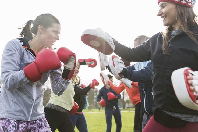 Mujeres decididas a boxear en un parque soleado - foto de stock