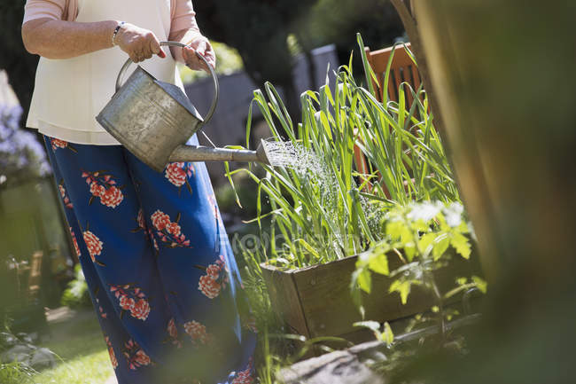 Cropped image of woman gardening water plants — Stock Photo