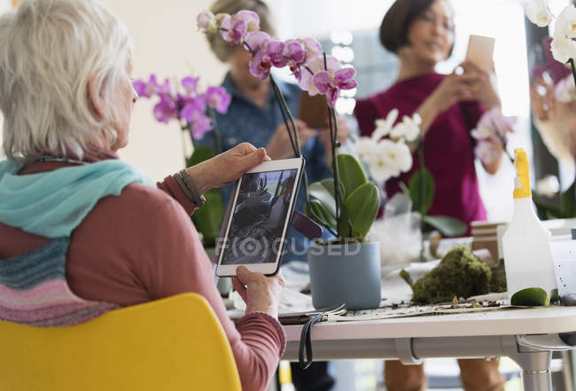 Mujer mayor activa con tableta digital fotografiando orquídea en clase de arreglos florales - foto de stock