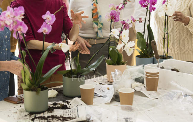 Anziani attivi che godono di classe di organizzazione floreale — Foto stock