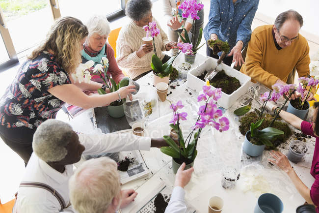 Активні літні люди насолоджуються класом аранжування квітів — стокове фото
