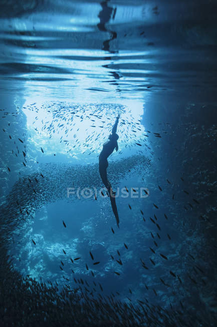Giovane donna che fa snorkeling tra scuola di pesce sott'acqua, Vava'u, Tonga, Oceano Pacifico — Foto stock