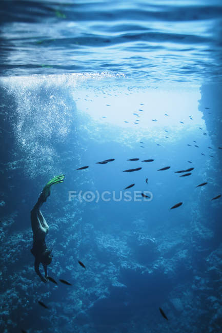 Young woman snorkeling underwater among fish, Vava'u, Tonga, Pacific Ocean — Stock Photo