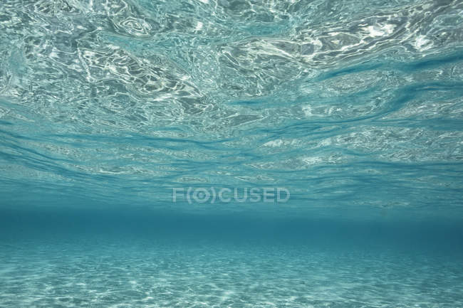 Підводний подання спокійна синій океан, Vava'u, Тонга, Тихий океан — стокове фото