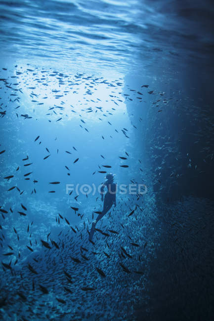 Frau schnorchelt unter Wasser zwischen Fischschwärmen, Vava 'u, Tonga, Pazifik — Stockfoto