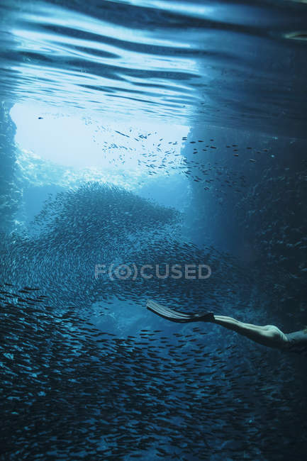 Woman snorkeling underwater among schools of fish, Vava'u, Tonga, Pacific Ocean — Stock Photo
