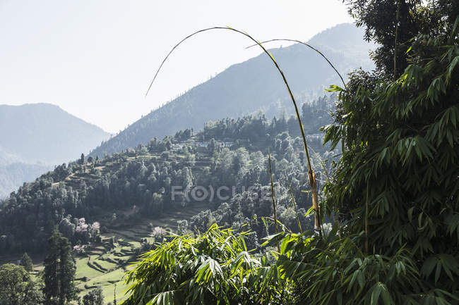 Vista panorámica soleada, Supi Bageshwar, Uttarakhand, Indio Himalaya Foothills - foto de stock