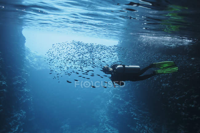 Donna immersioni subacquee tra scuola di pesce, Vava'u, Tonga, Oceano Pacifico — Foto stock